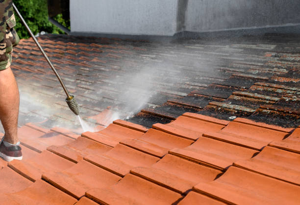 Best Pressure Washing Contractors  in Lock Haven, PA