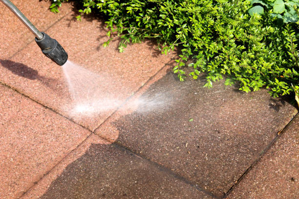 Best Sidewalk Pressure Washing  in Lock Haven, PA